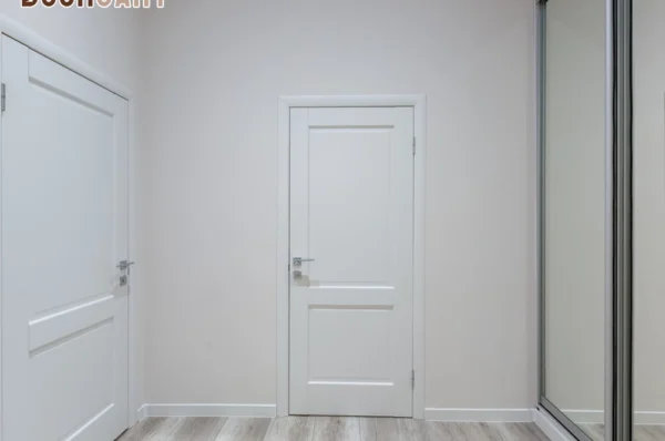 Slab Fire Rated Door