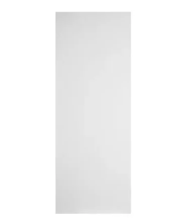 Flat Flush Door