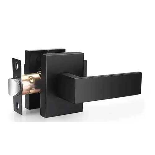 Door Handle Passage – Matte Black