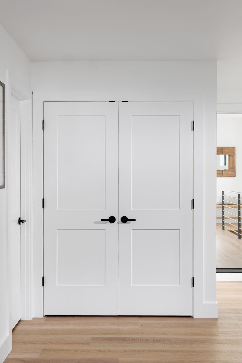 2 panel closet door