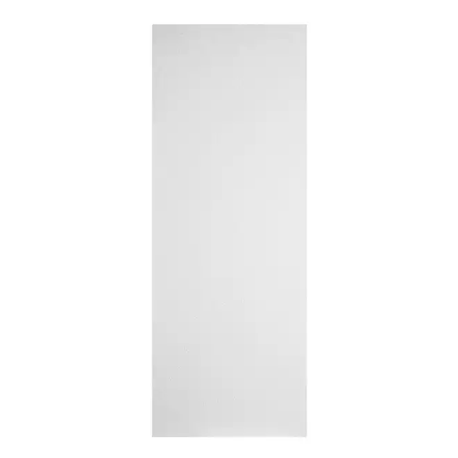 Flat Flush Door